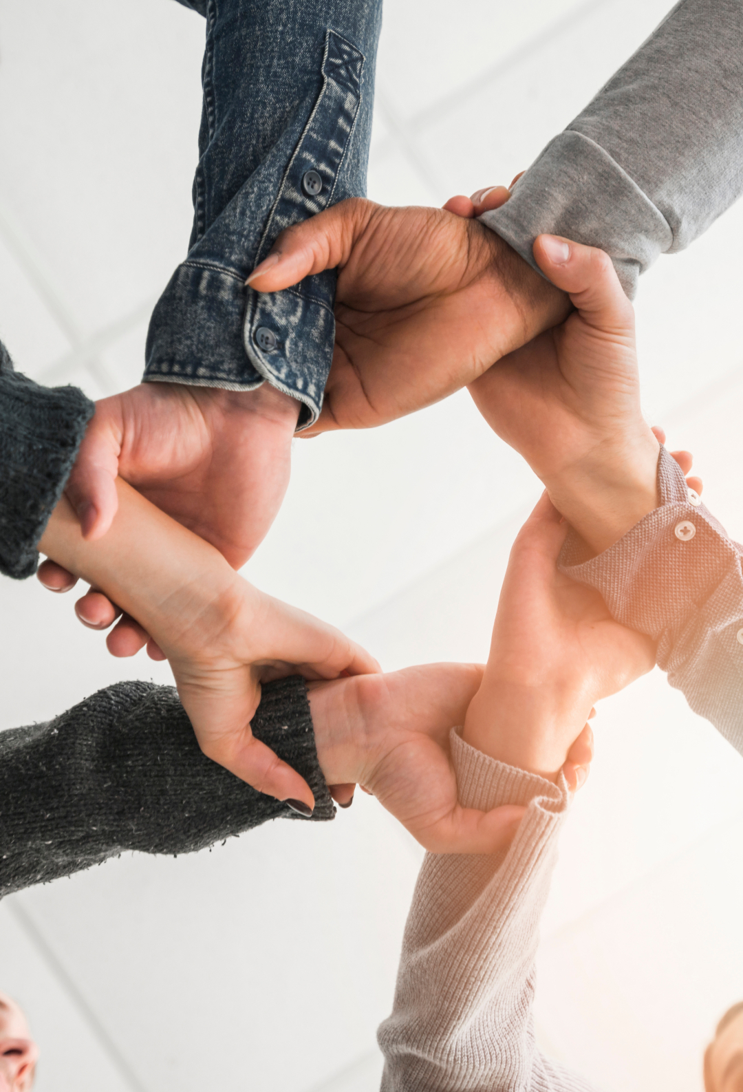 Programa de Gestión de Talentos